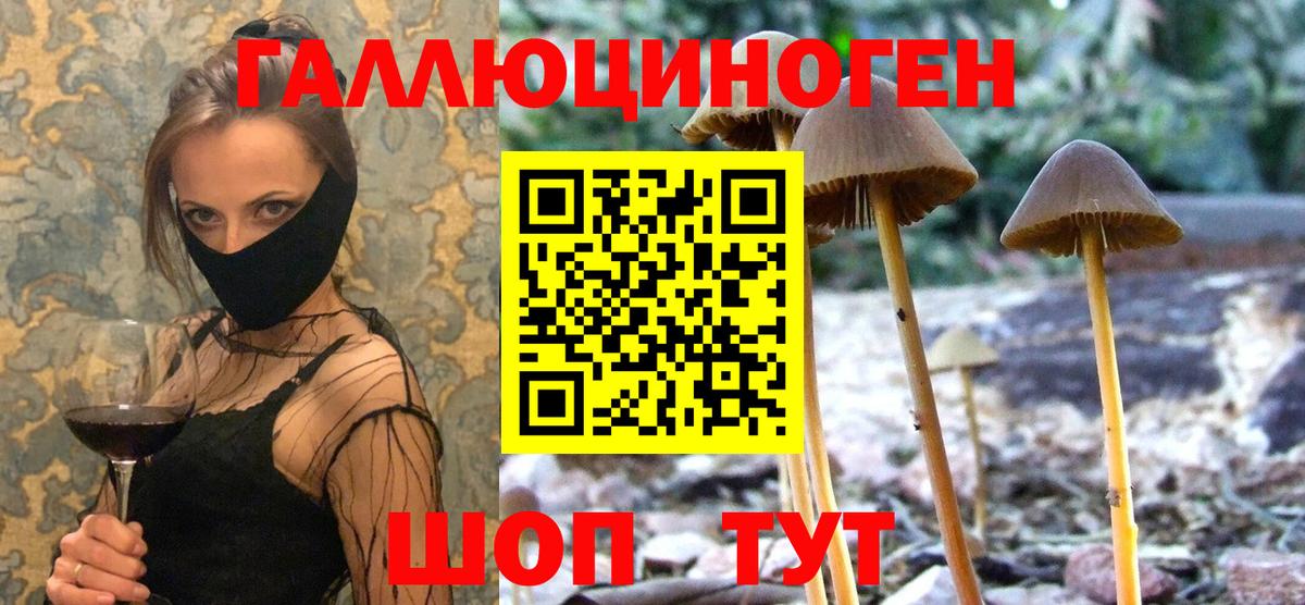 Галлюциногенные грибы MAGIC MUSHROOMS  Вход с VPN  Елабуга 